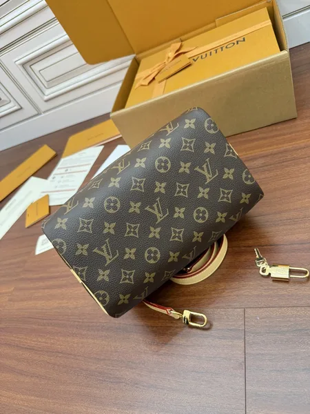 Louis Vuitton Speedy Bandoulière 25 Handbag in Monogram product view 2