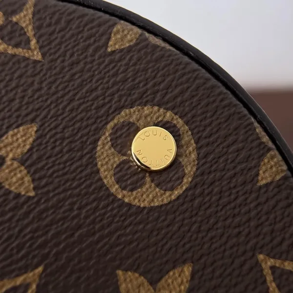 Louis Vuitton Scott M46933 Bag product view 5