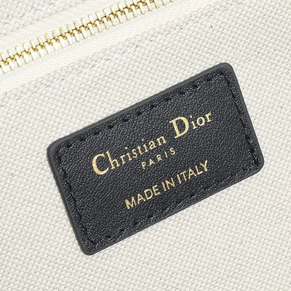Dior Medium Book Tote — Blue and White Scenic Pattern product view 6