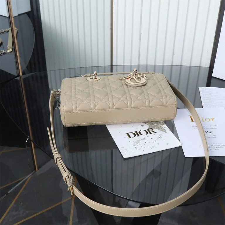 Dior Medium Beige Lady D-Joy Bag product view 5