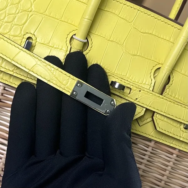 Hermès Birkin 25 cm Amber Yellow Crocodile Leather Bag product view 6