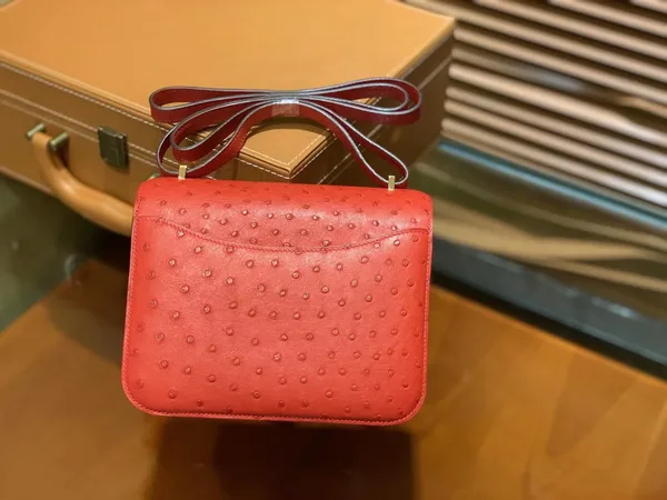 Hermès Rouge Vif Ostrich Constance Mini 18 gold hardware Bag product view 5