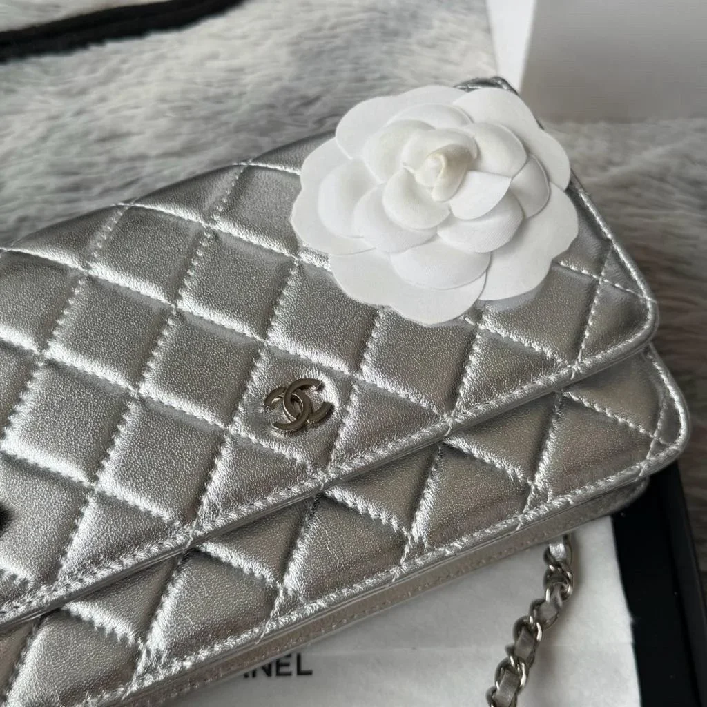 Chanel Woc Silver Bag product view 5