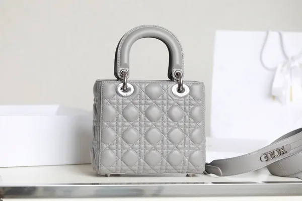 Dior My Lady High- Women’s Handbag Gray Glossy Leather 20x16cm product view 2