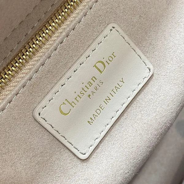 Dior Medium Lady Dior Bag — Pale Pink product view 5