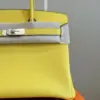 Hermès Birkin 30 Amber Yellow Palladium Hardware Bag product view 6