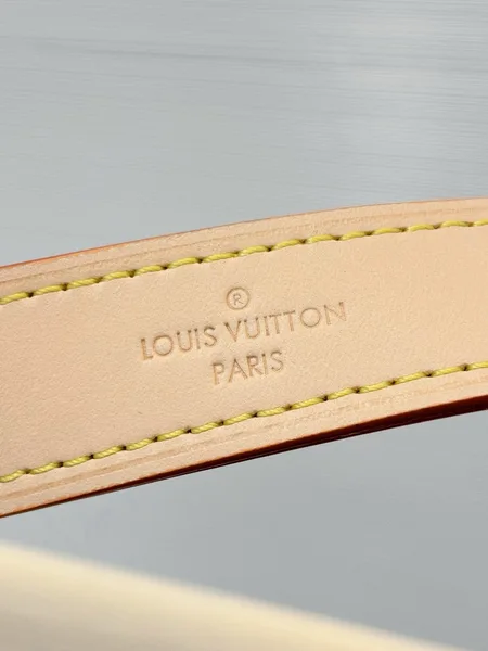 Louis Vuitton Damier Azur Slouchy MM Bag product view 3