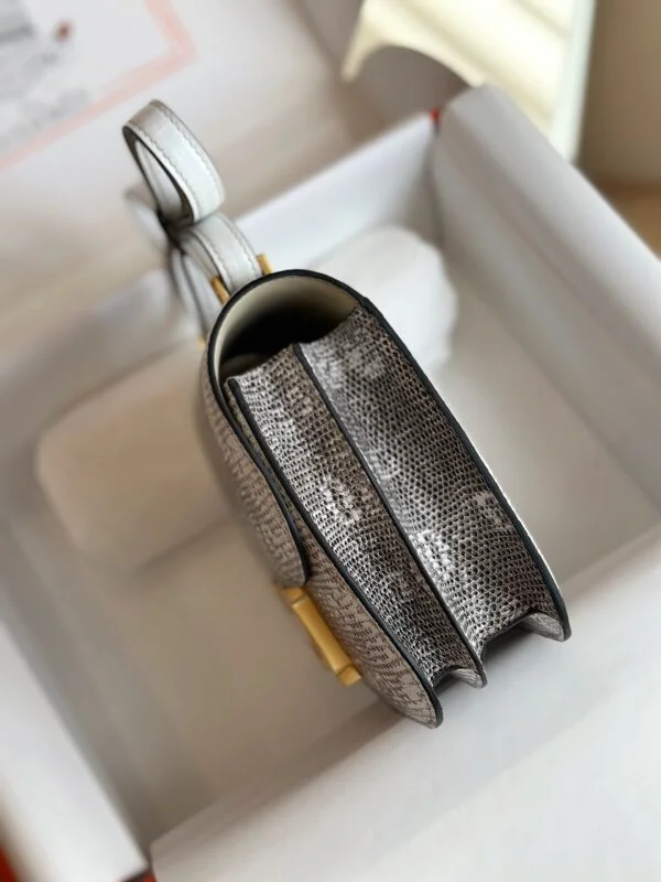 Hermès Constance 19 Omber Lizard Leather Palladium Hardware Bag product view 6