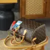 Louis Vuitton Speedy 30 Crafty Bag product view 6