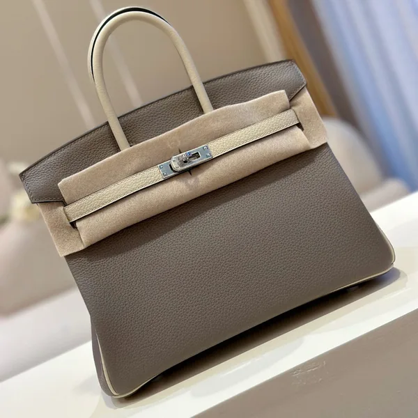 Hermès Birkin 25 Gray/Beige Customize Palladium Hardware Bag product photo