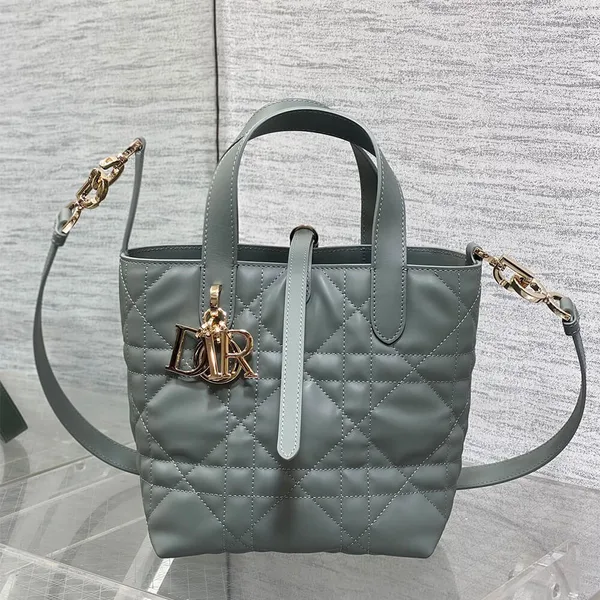 Dior Small Toujours Vertical Tote Bag product view 5