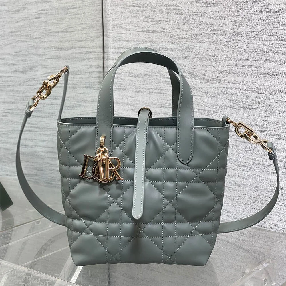 Dior Small Toujours Vertical Tote Bag product view 5