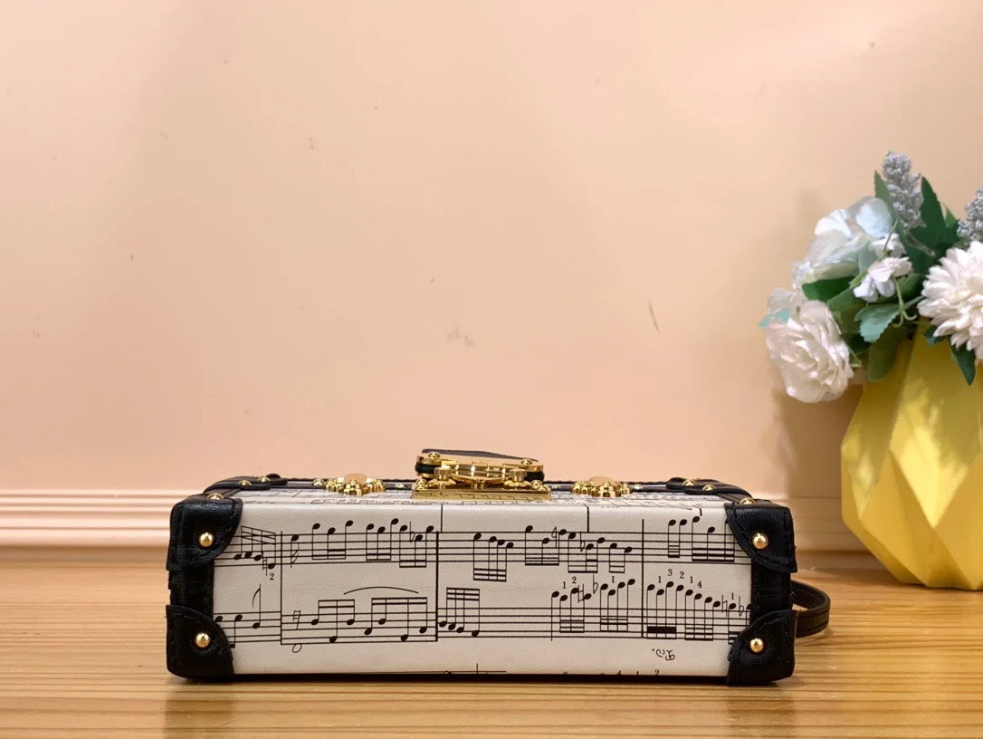 Louis Vuitton Petite Musical Pattern Handbags 20×12.5x5cm product view 4