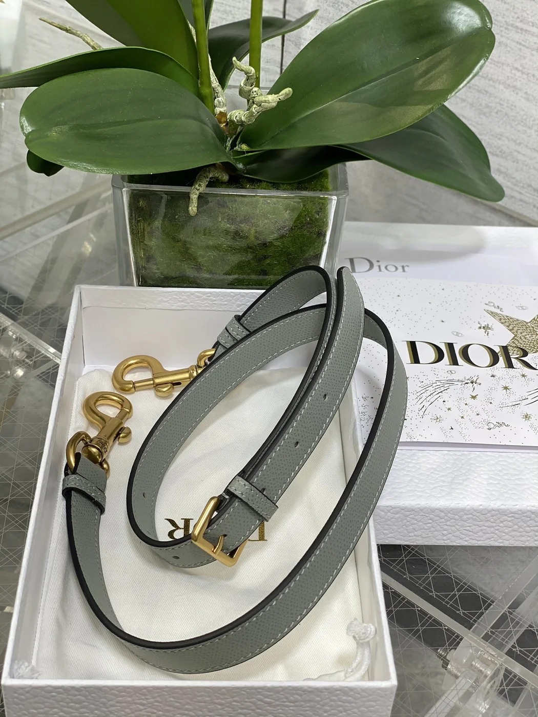 Dior Saddle Bag in Stone Gray Gold Hardware product view 8