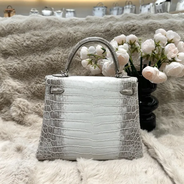 Hermès Kelly 25 cm Himalaya Crocodile Leather Silver Hardware Bag product view 2