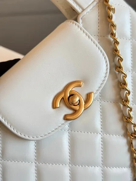 Chanel Kelly Bag 19 In White Calfskin Gold Hardware product view 8