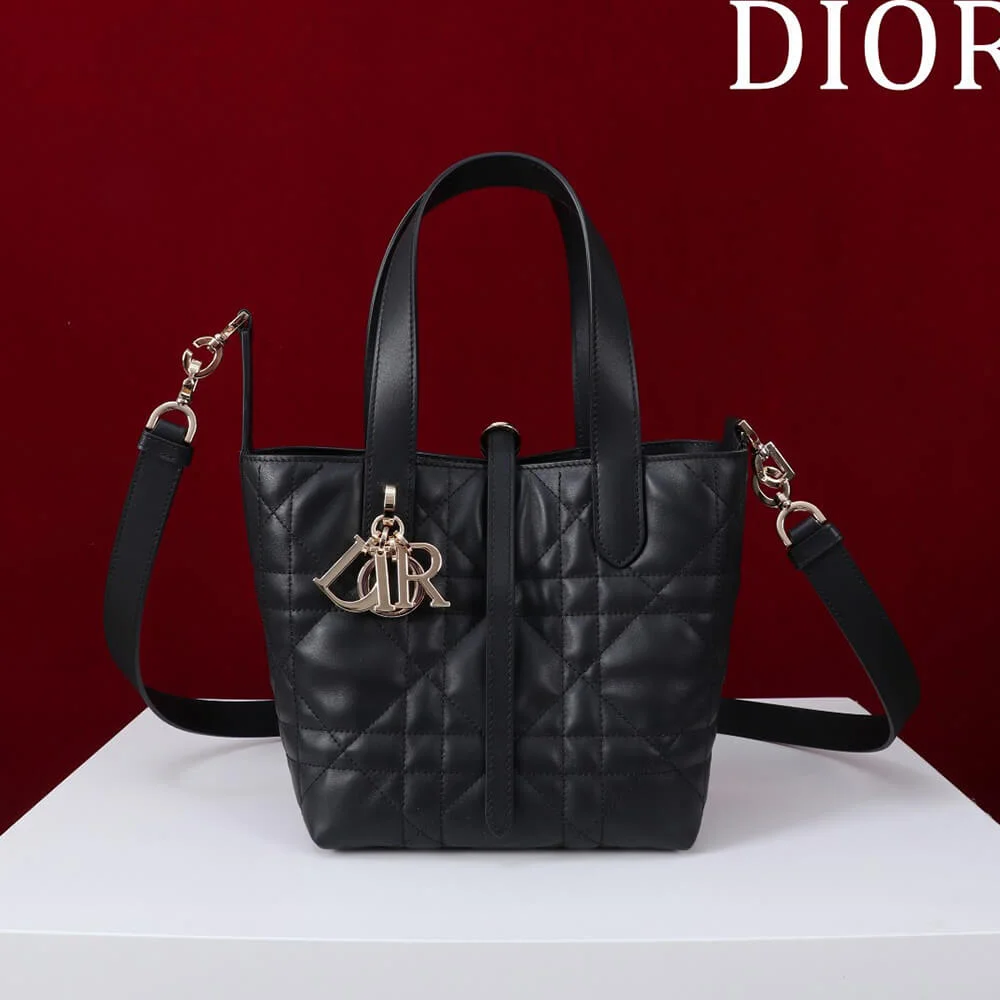 Dior Small Toujours Vertical Tote Bag product view 1