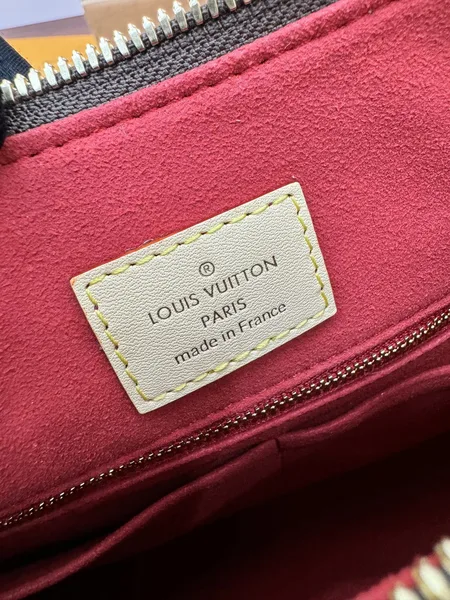 Louis Vuitton Slouchy MM Monogram Canvas Bag product view 5