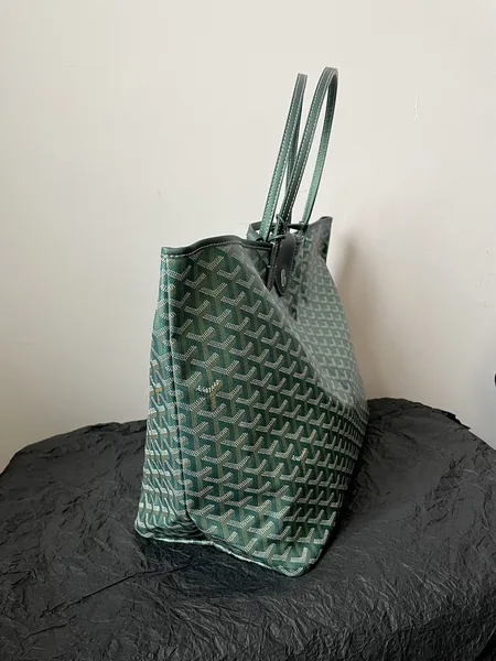 Goyard Saint Louis PM Bag 2024 Limited Edition product view 5