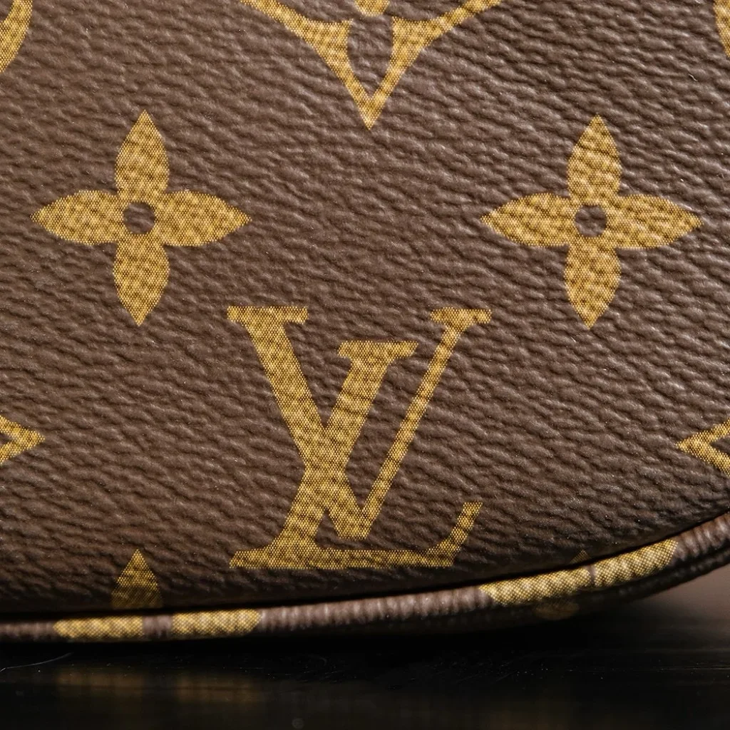 Louis Vuitton Saumur BB in Monogram Bag product view 16