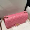 Chanel Classic Bell Bag Handbags Bink Lock Gold Smooth Leather 20 cm product view 6
