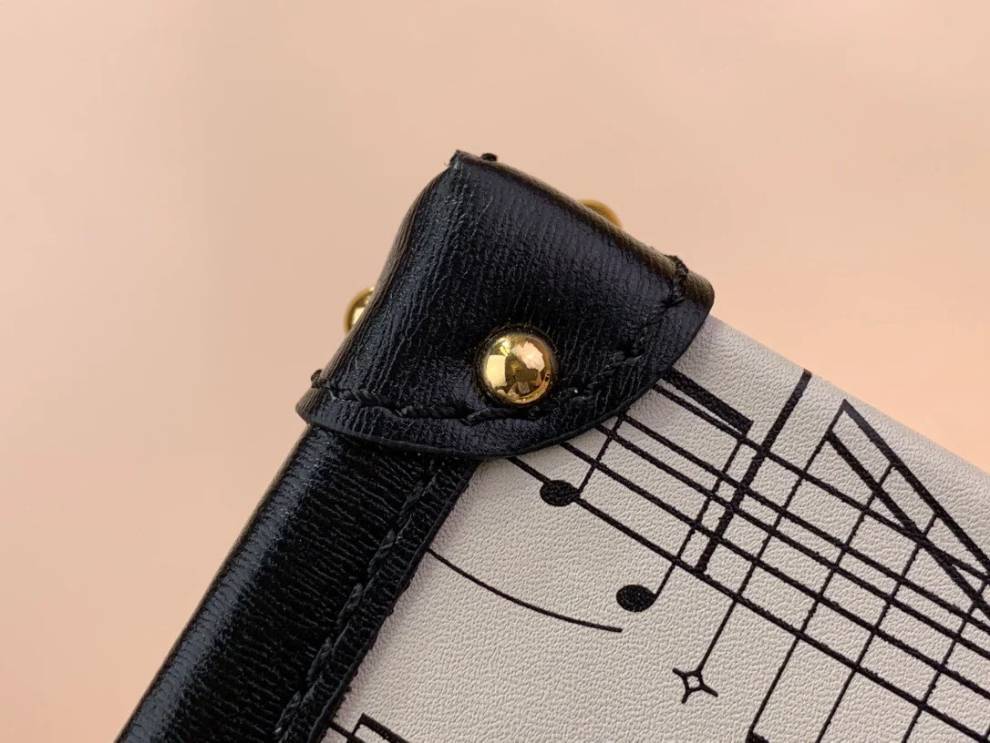Louis Vuitton Petite Musical Pattern Handbags 20×12.5x5cm product view 5