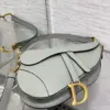 Dior Saddle Bag in Stone Gray Gold Hardware product view 5
