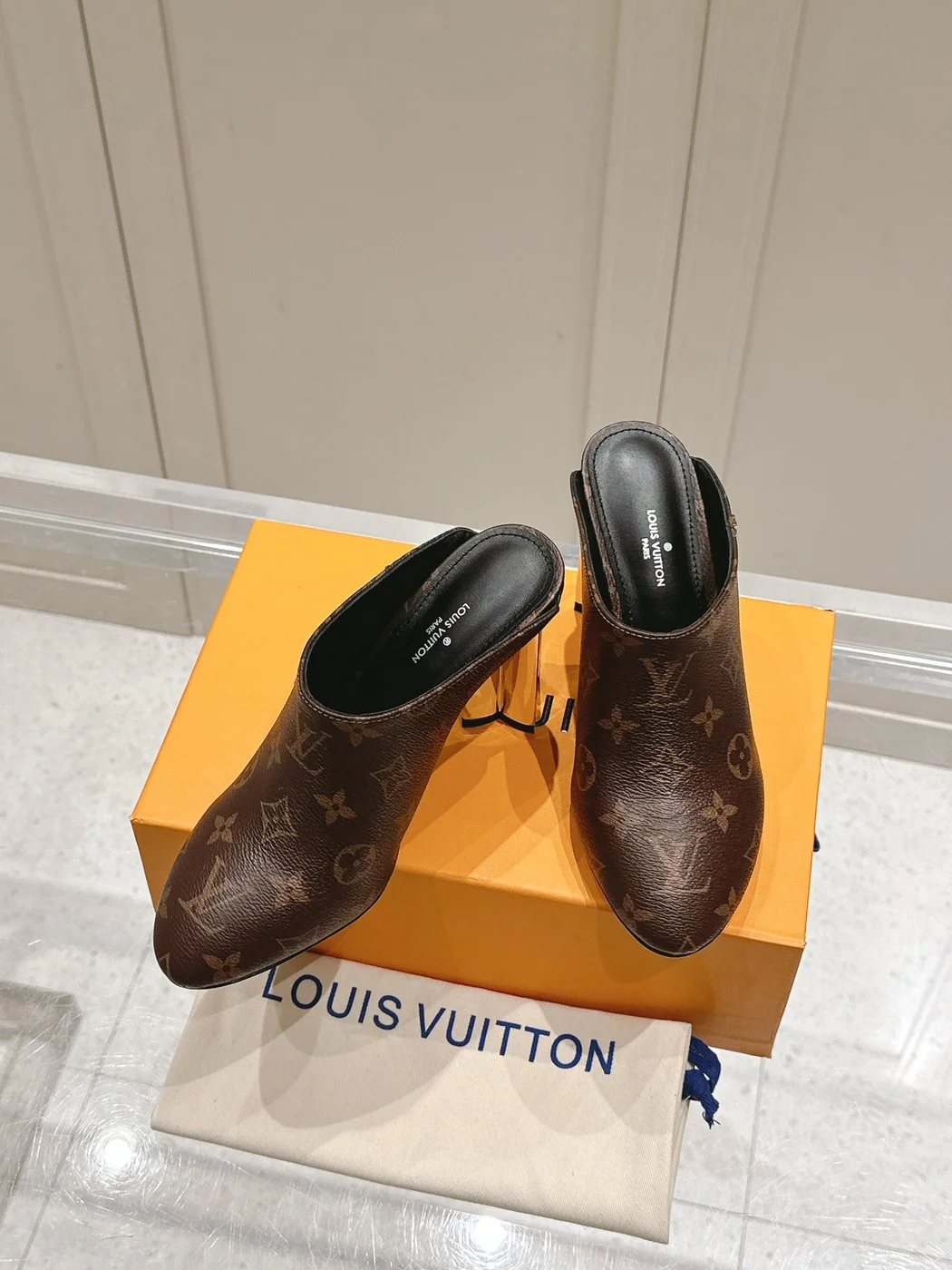 Louis Vuitton Women Brown Leather Mules — Plain Slip-On Style product view 5