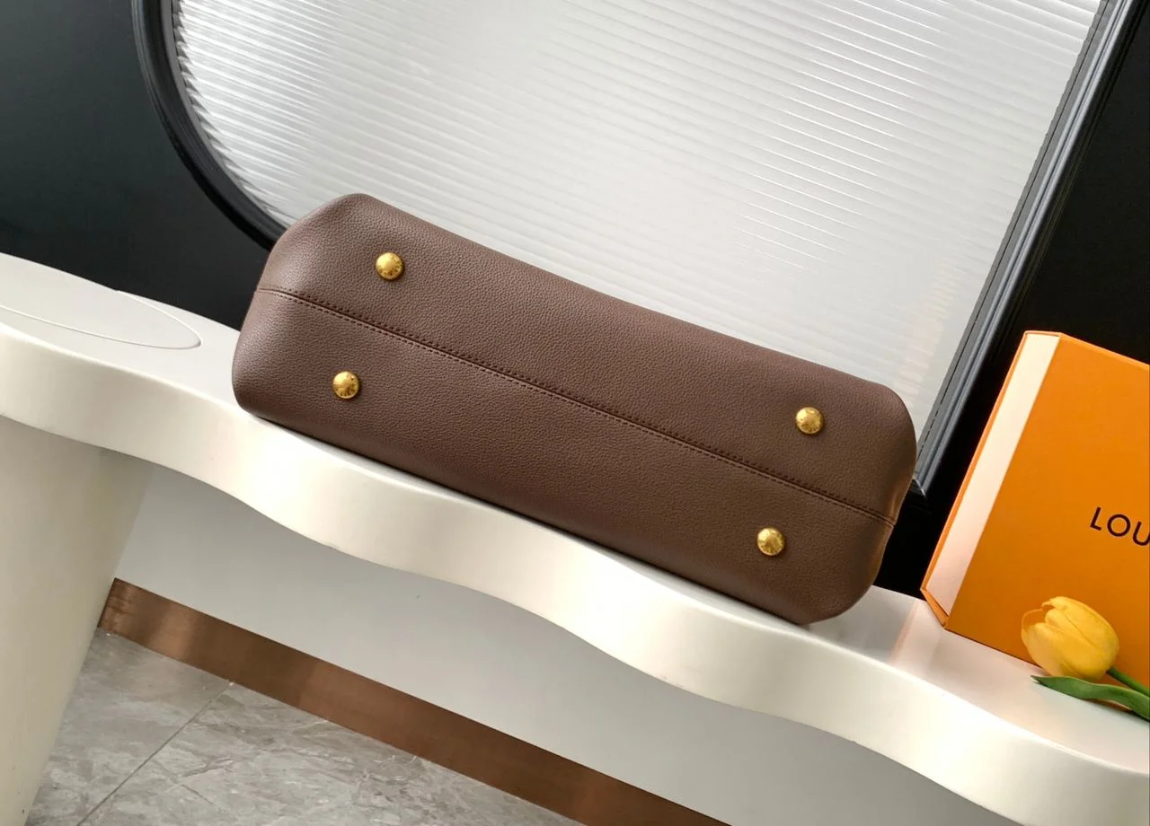 Louis Vuitton Low Key Cabas MM Chocolate Color Bag product view 2