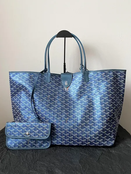 Goyard Saint Louis PM Bag 2024 Limited Edition product view 3