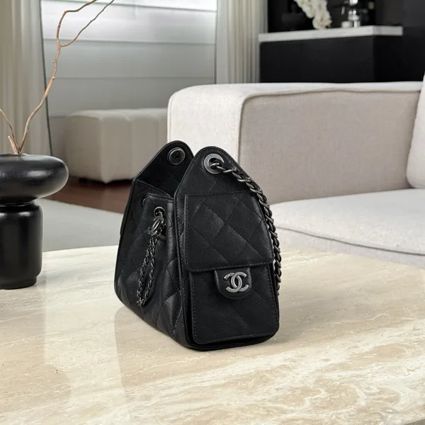 Chanel 25 Bag Mini Black with Silver Hardware product view 4