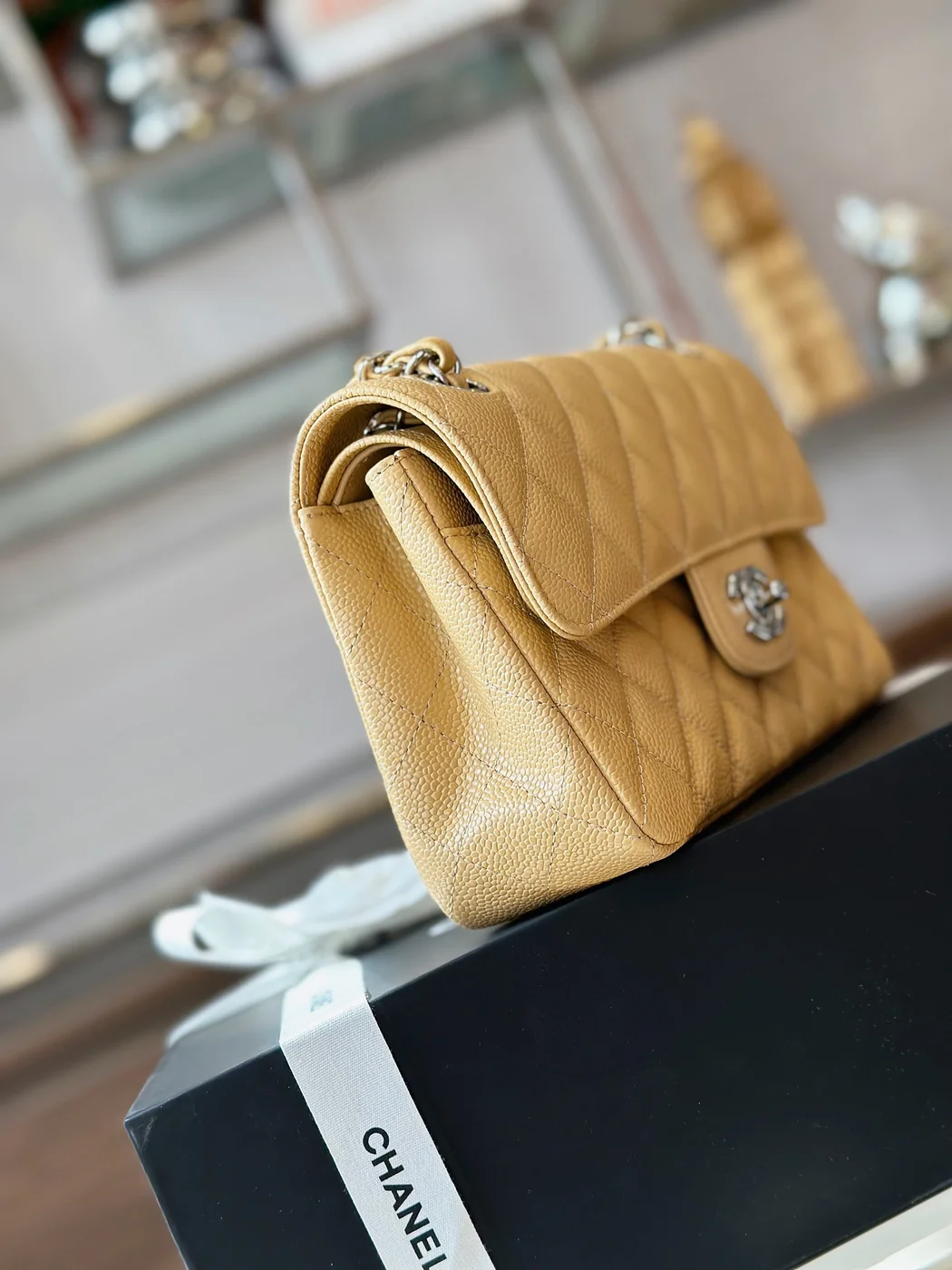 Chanel Classic Handbags Beige Leather With Lizard Skin 23 cm product view 2