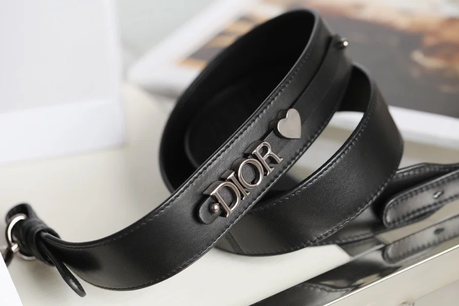 Dior My Lady Women’s Handbag Black Silver Lock 20x16cm product view 5