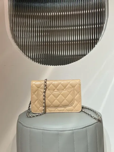 ChanelCaviar Quilted Wallet on Chain Woc Beige Bag product view 4