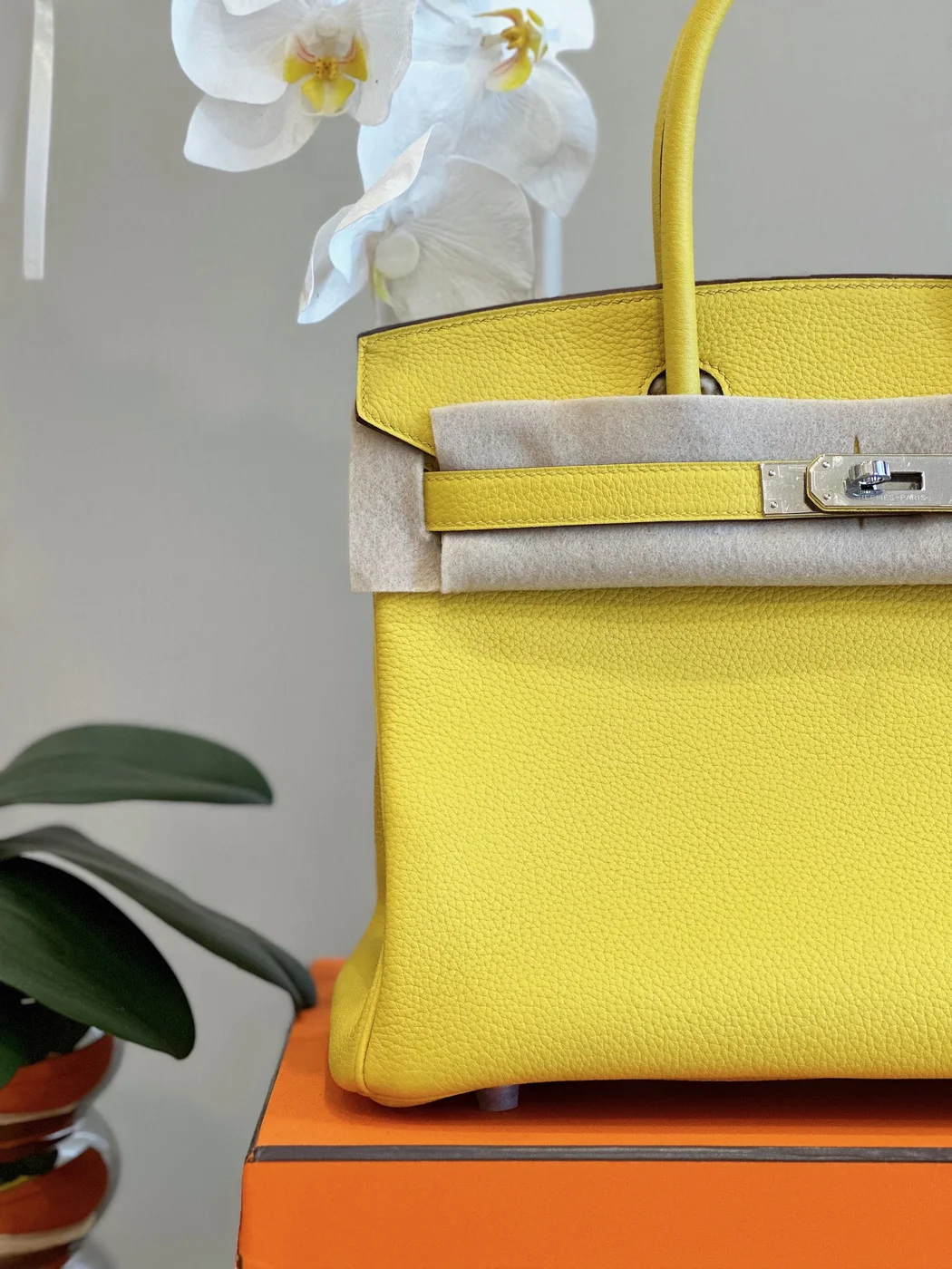 Hermès Birkin 30 Amber Yellow Palladium Hardware Bag product view 2