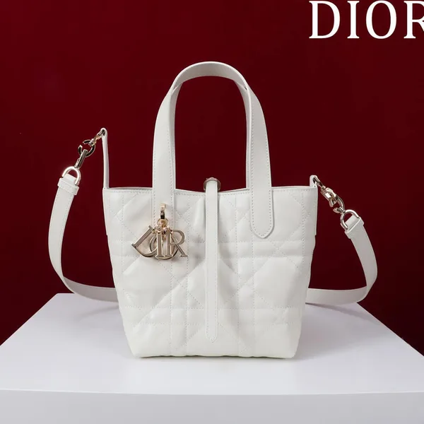 Dior Small Toujours Vertical Tote Bag product view 2