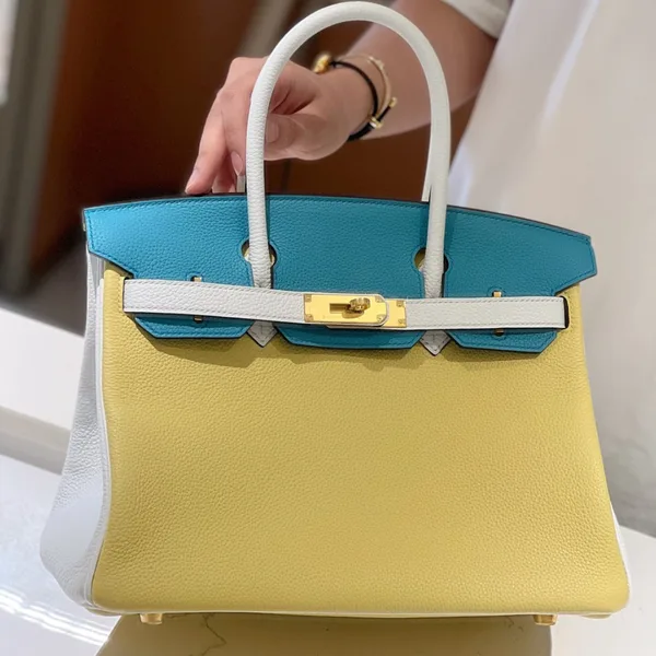 Hermès Lime, Bleu de Galice and Gris Perle Chèvre Tri-Color Hss Birkin 25 Brushed Gold Hardware Bag product photo