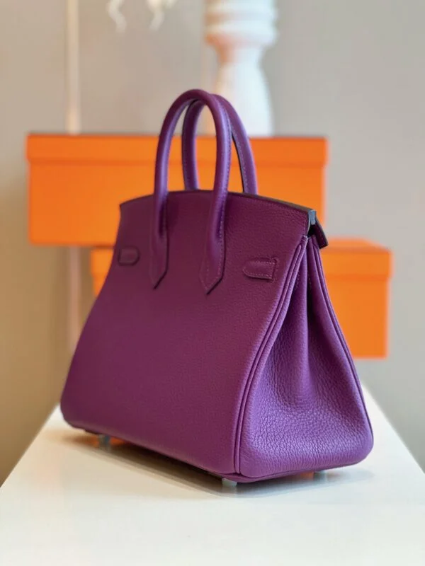 Hermès Birkin 25 Dark Purple Togo Leather Palladium Hardware Bag product view 6