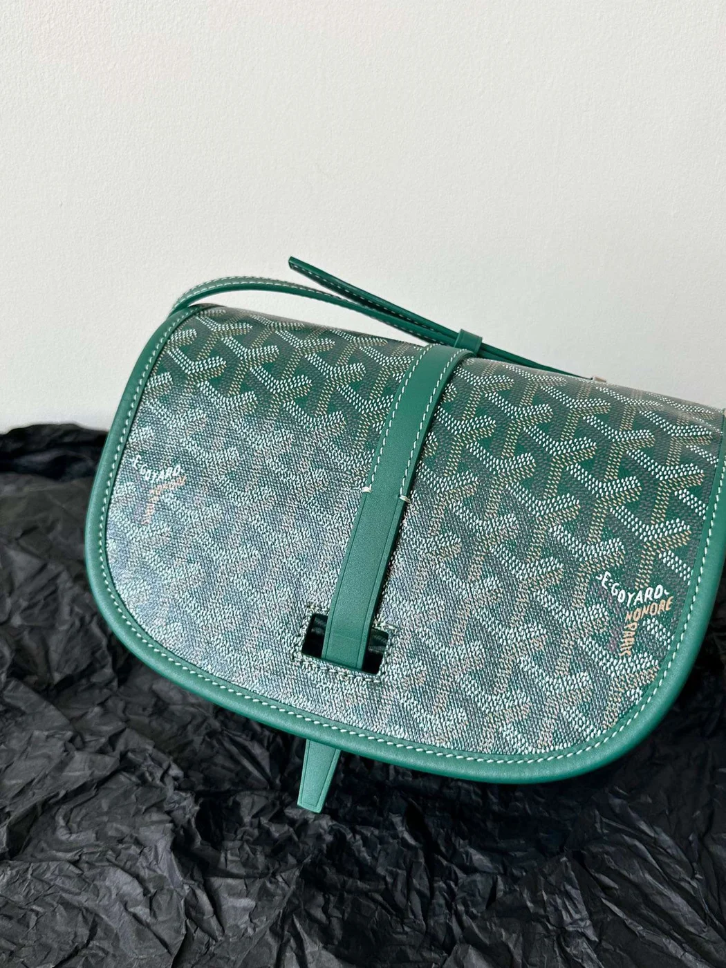 Goyard Green Handbag With Pattern 22x16x7cm product view 3