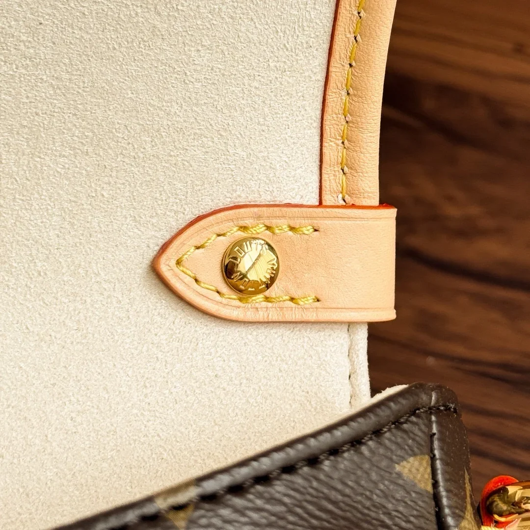 Louis Vuitton Saumur BB in Monogram Bag product view 5
