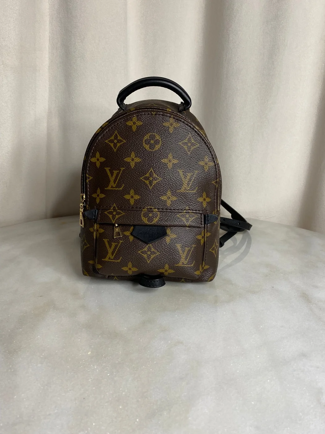 Louis Vuitton Palm Springs Mini backpack in monogram canvas product view 1