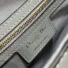 Dior Saddle Bag in Stone Gray Gold Hardware product view 7
