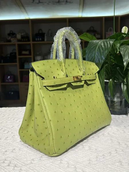 Hermès Birkin 25 cm Ostrich Leather Gold Hardware Bag product view 6