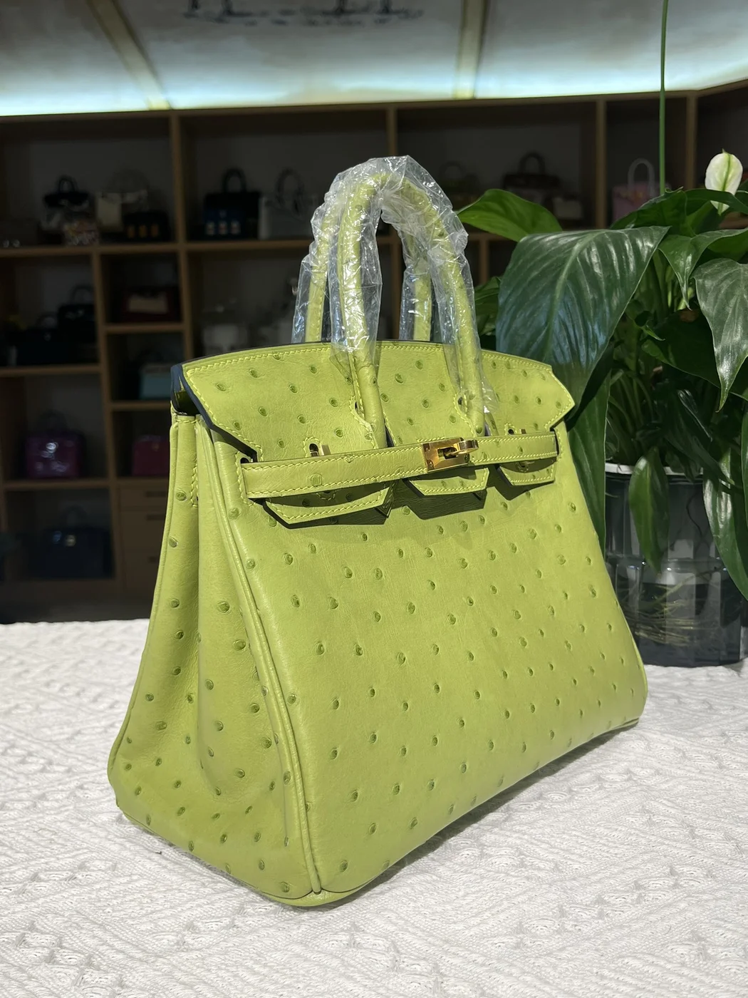 Hermès Birkin 25 cm Ostrich Leather Gold Hardware Bag product view 6