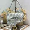 Dior Saddle Bag in grey Oblique embroidered product view 1