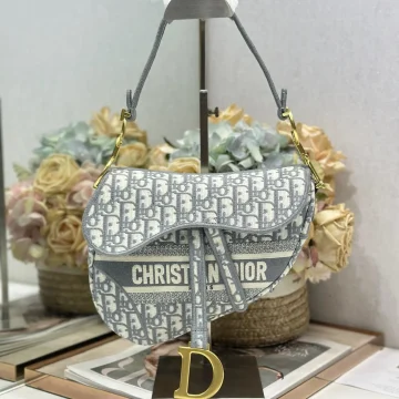Dior Saddle Bag in grey Oblique embroidered product photo