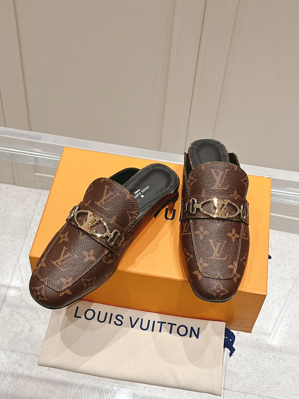 Louis Vuitton Women Brown Leather Mules — Metal-Bar Loafer Style product view 2