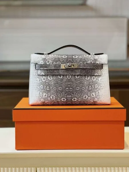 Hermès Constance Omber Lizard Handbags Lizard Skin 22 cm product photo