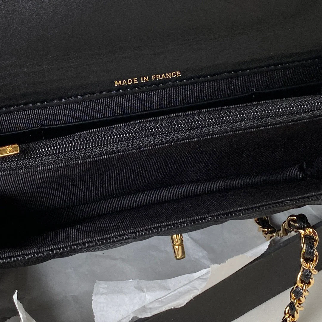 Chanel Woc Charm Handbag Lizard Skin Black With Gold Lock 20 cm product view 4