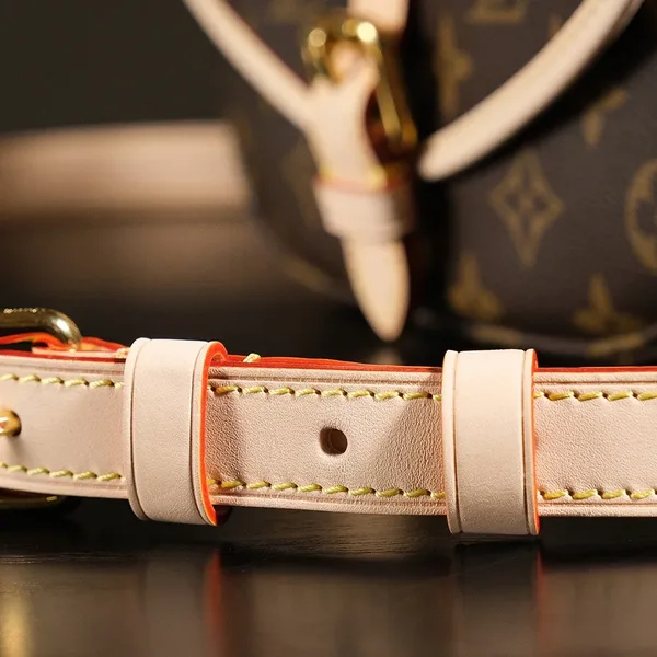 Louis Vuitton Saumur BB in Monogram Bag product view 11